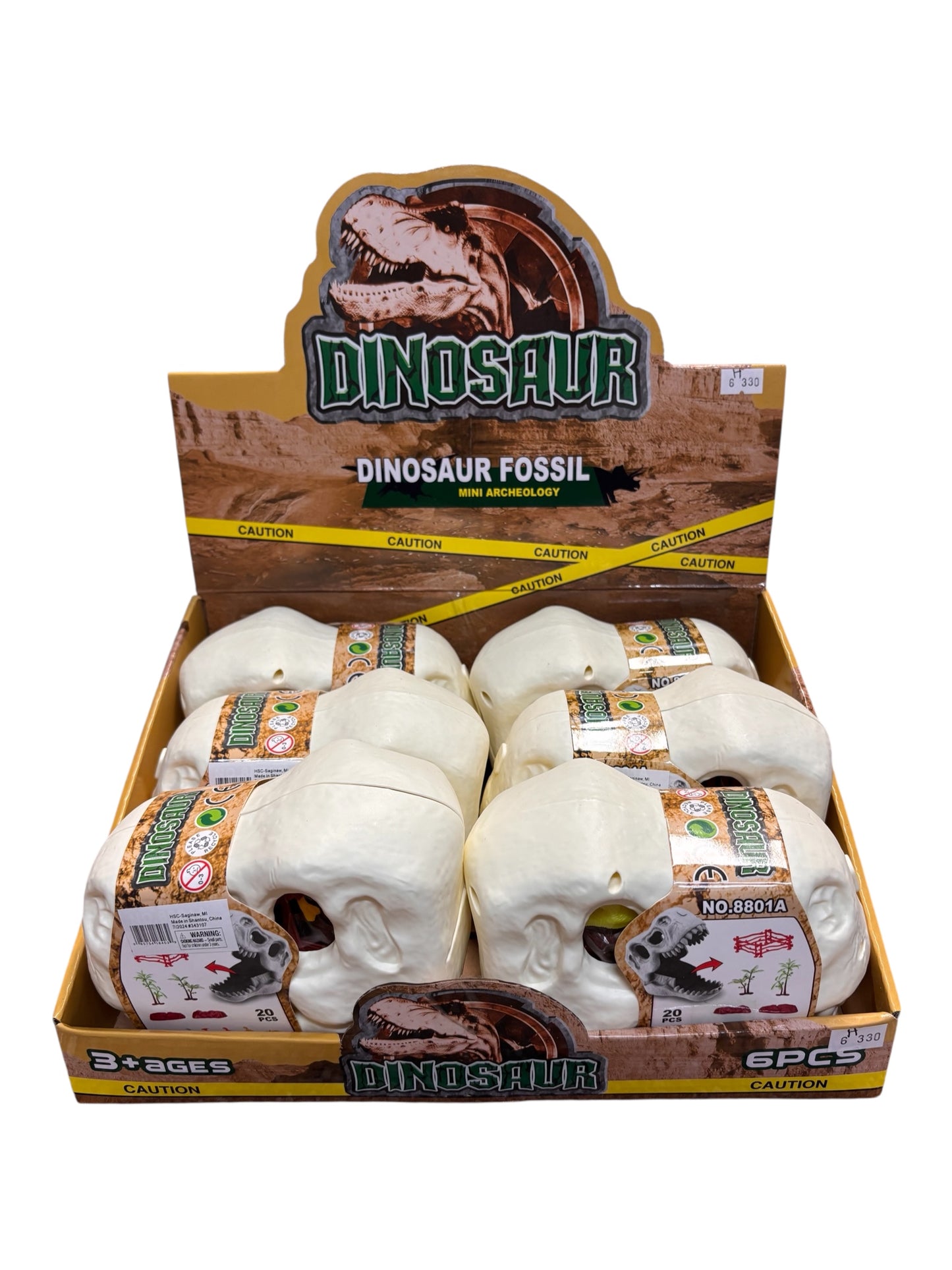 Dinosaur Fossil
