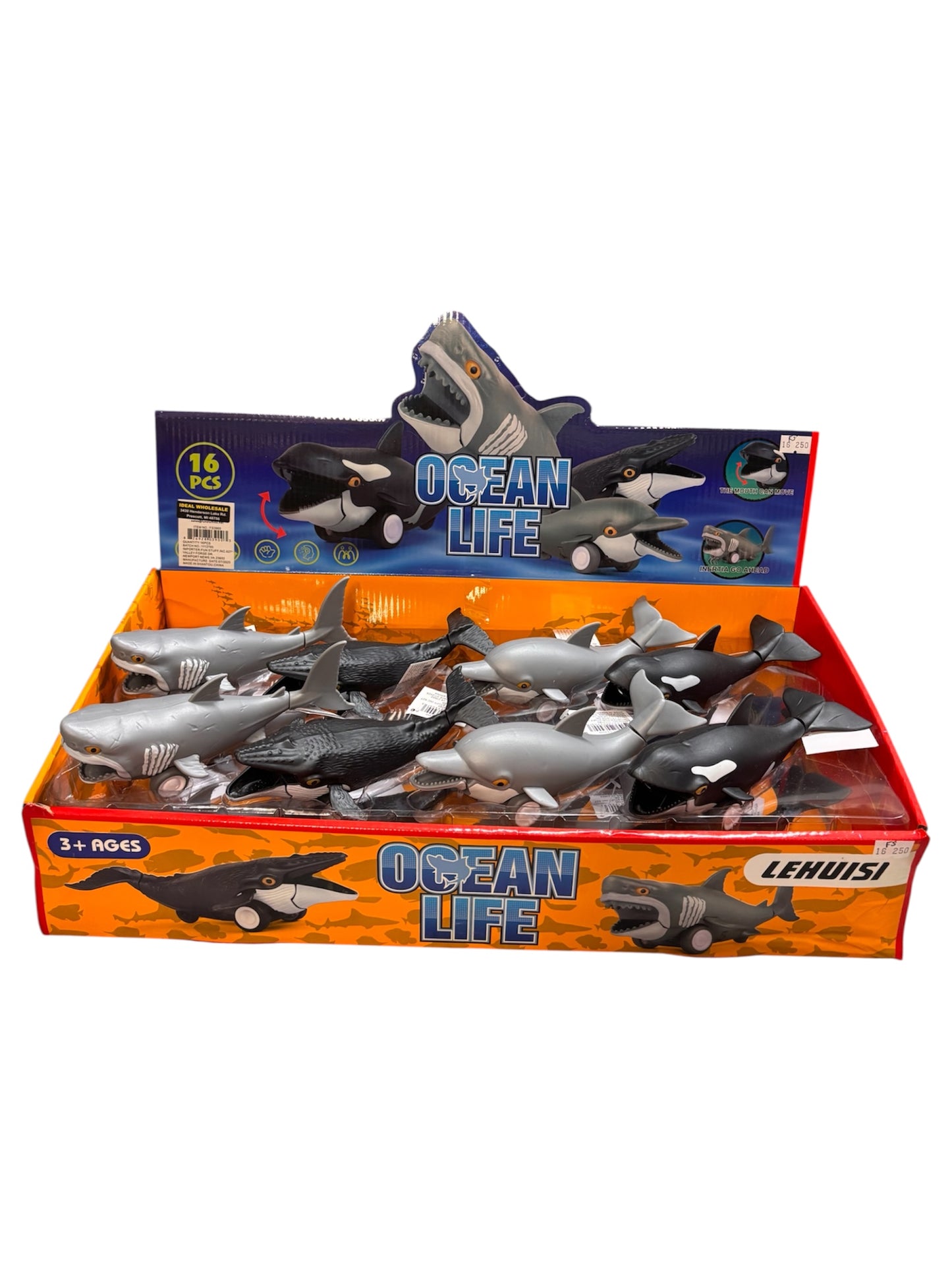 Ocean Life Car