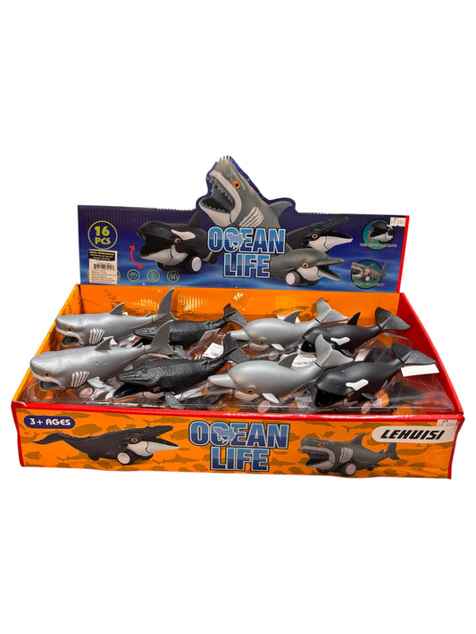 Ocean Life Car