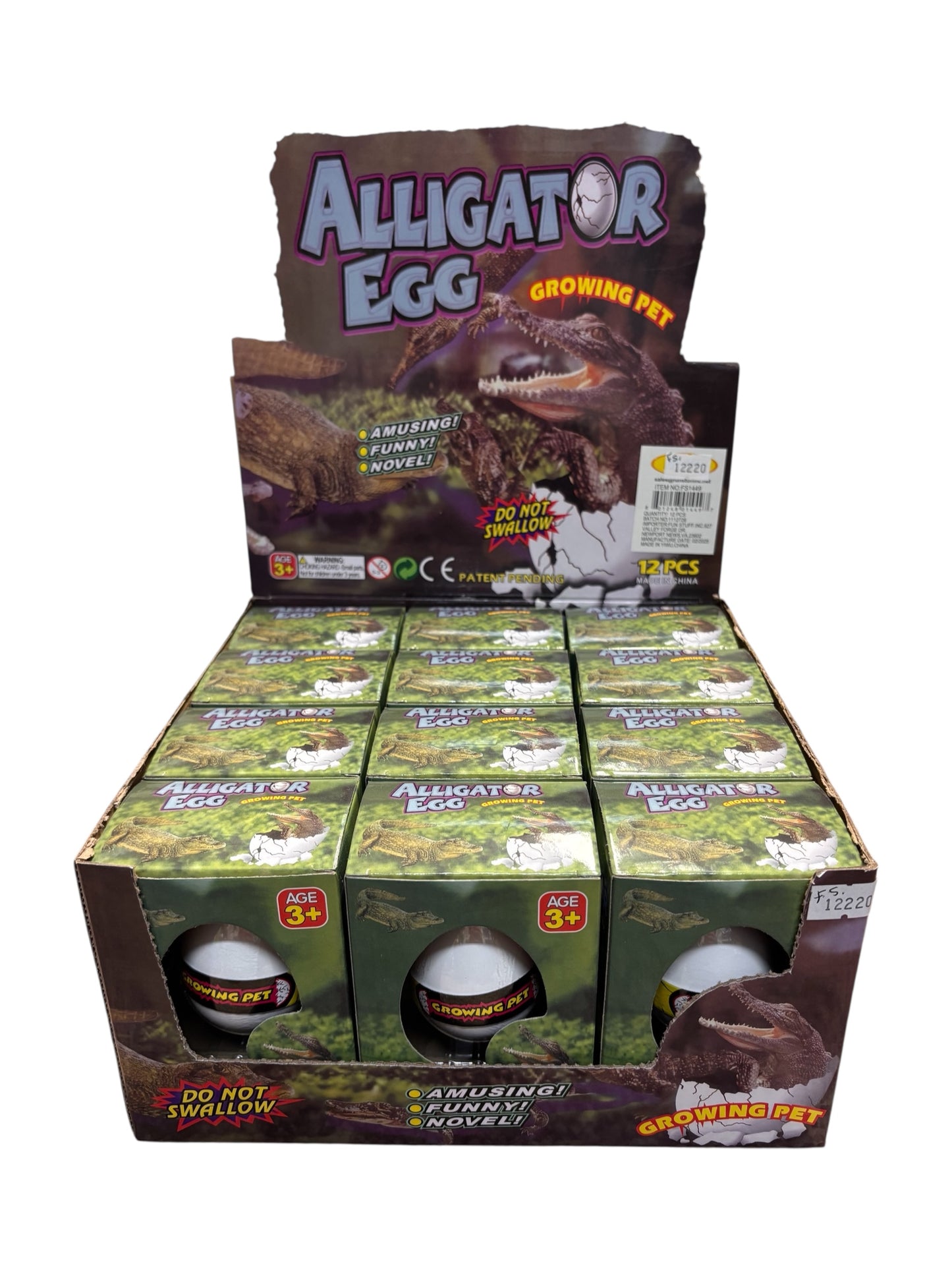 Alligator Grow Egg