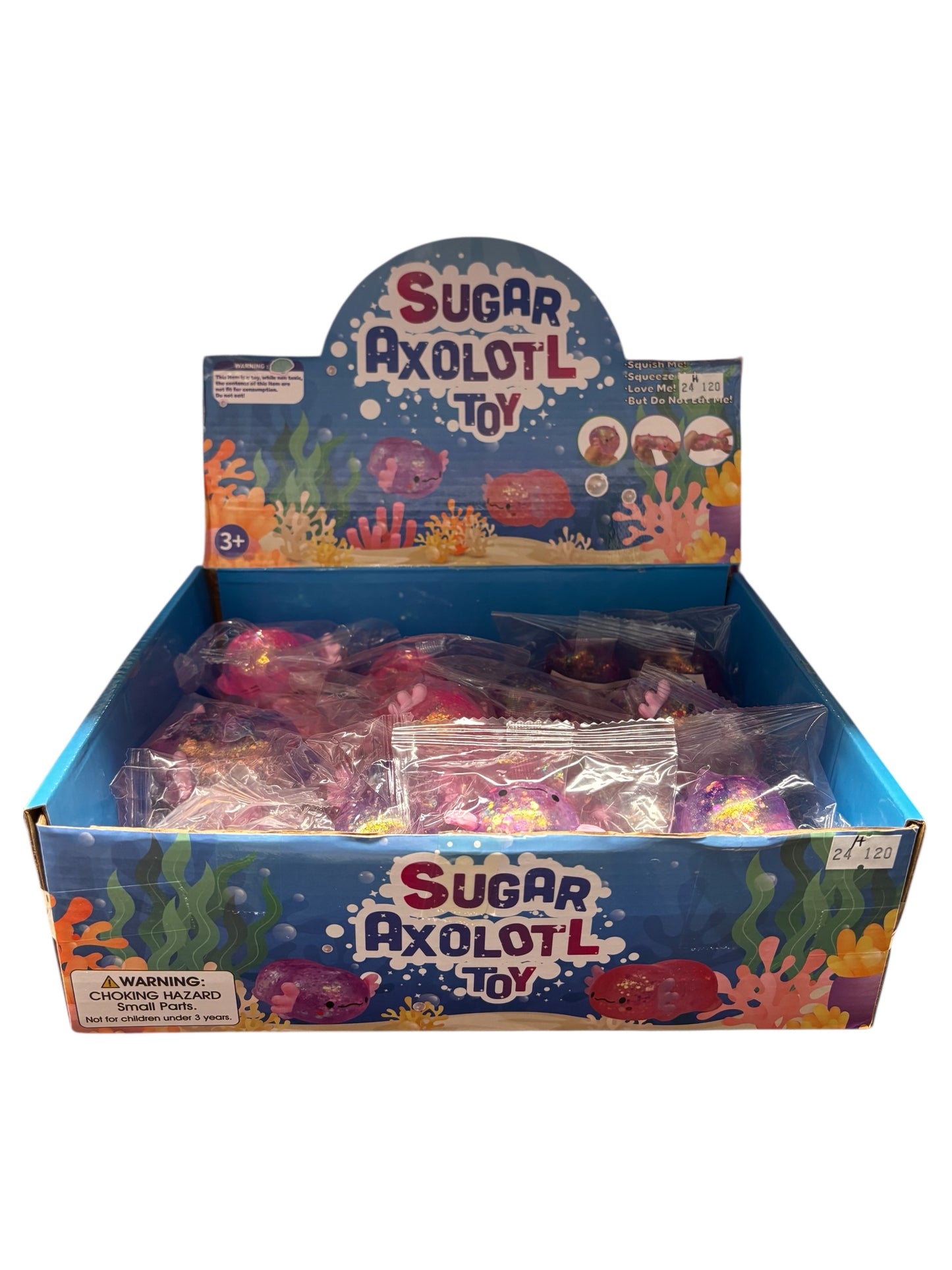 Small Sugar Axolotl