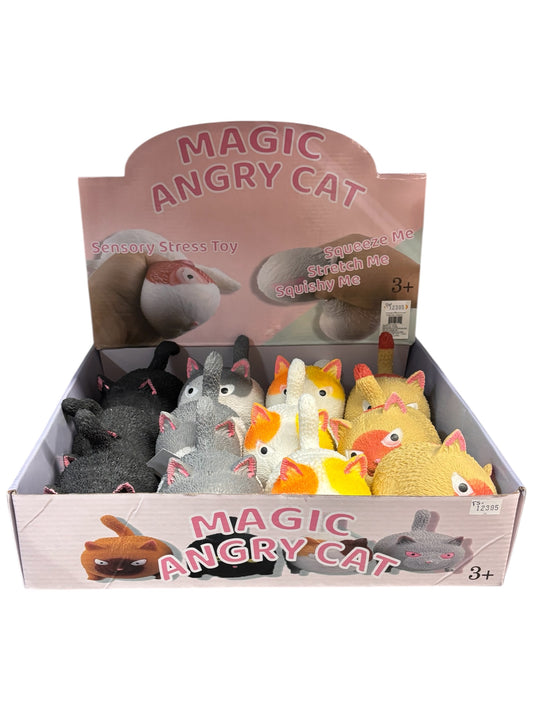 Magic Angry Cat