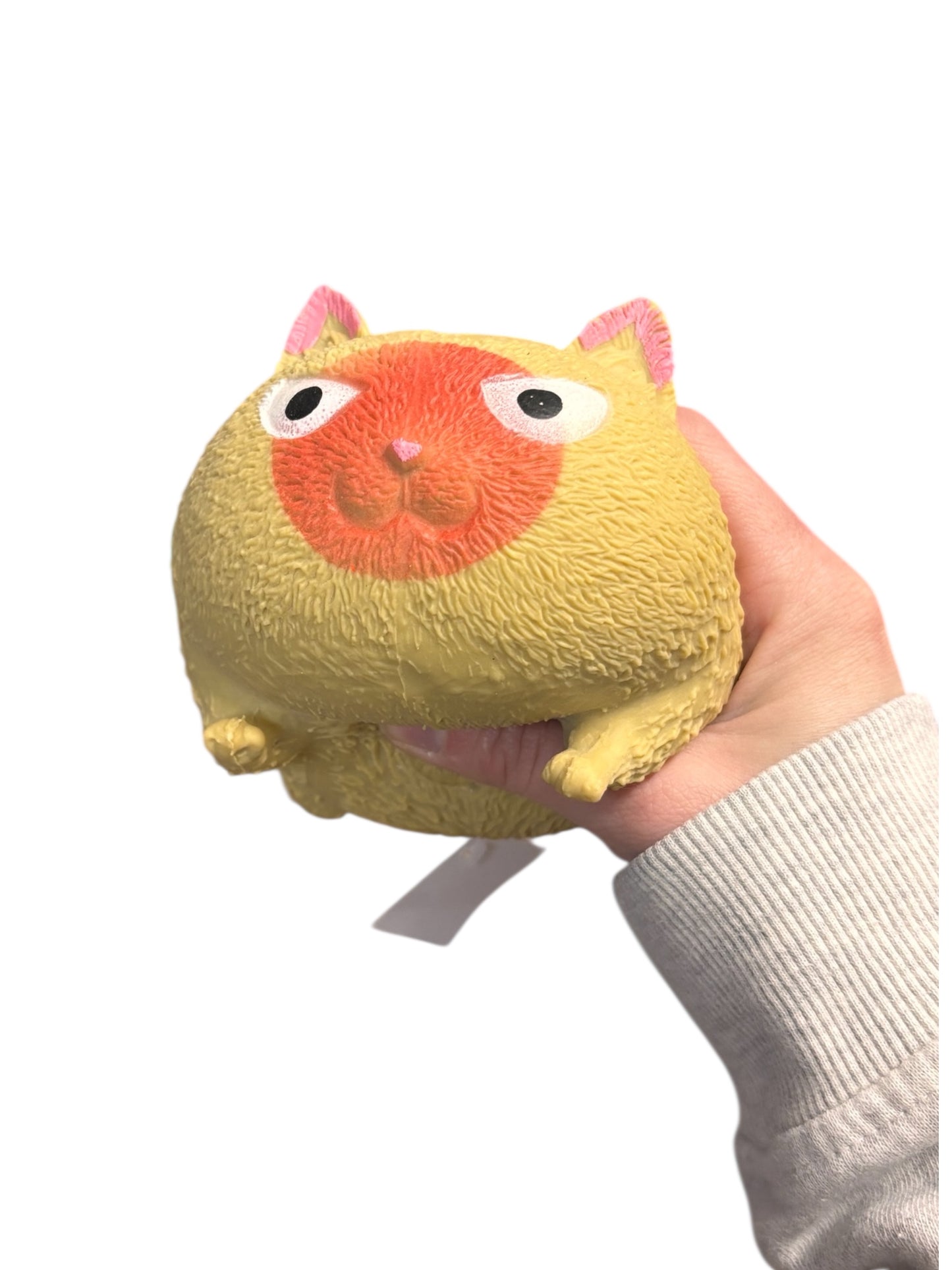 Magic Angry Cat