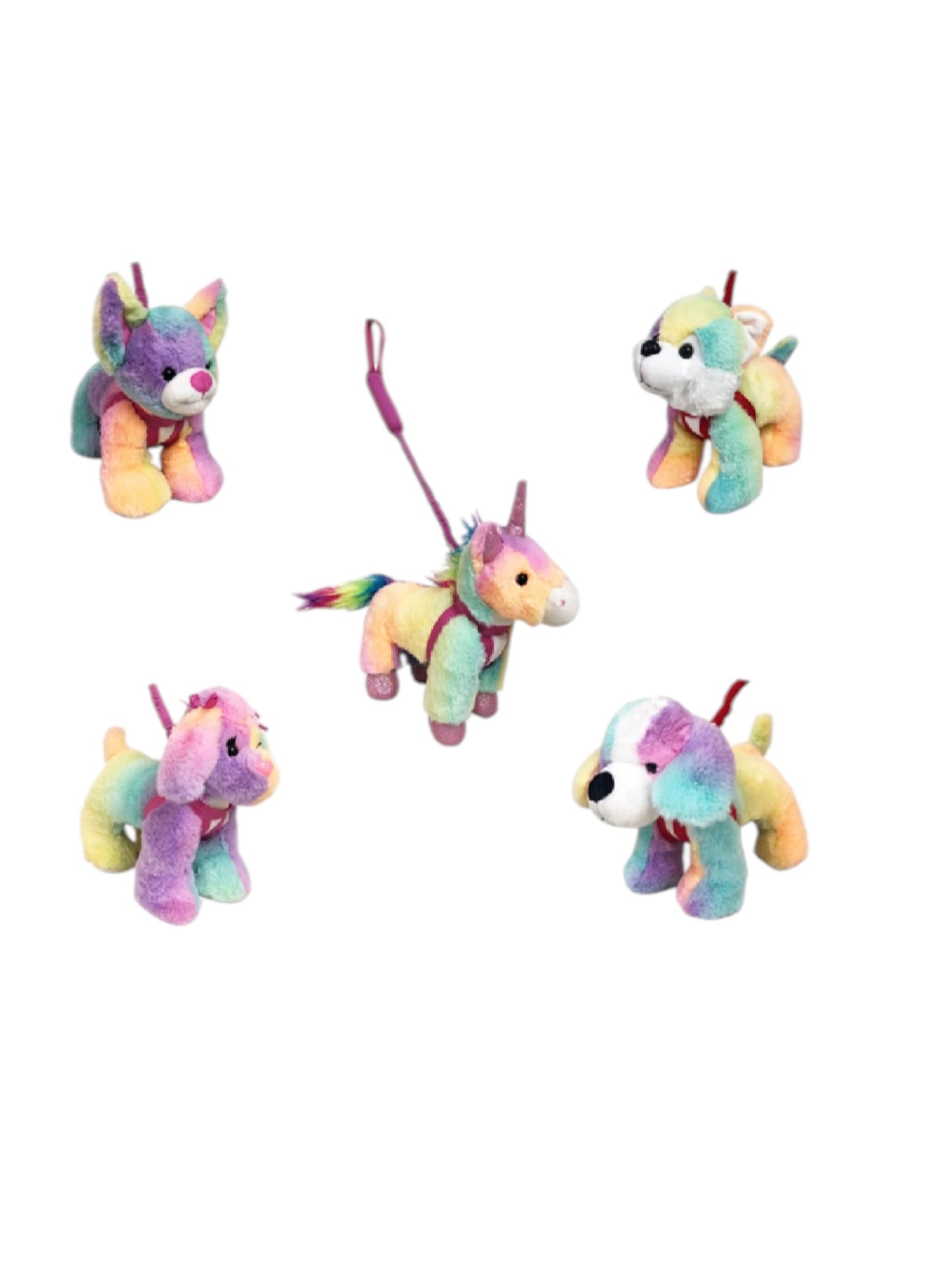 Tie-Dye Dog/Unicorn On Leash