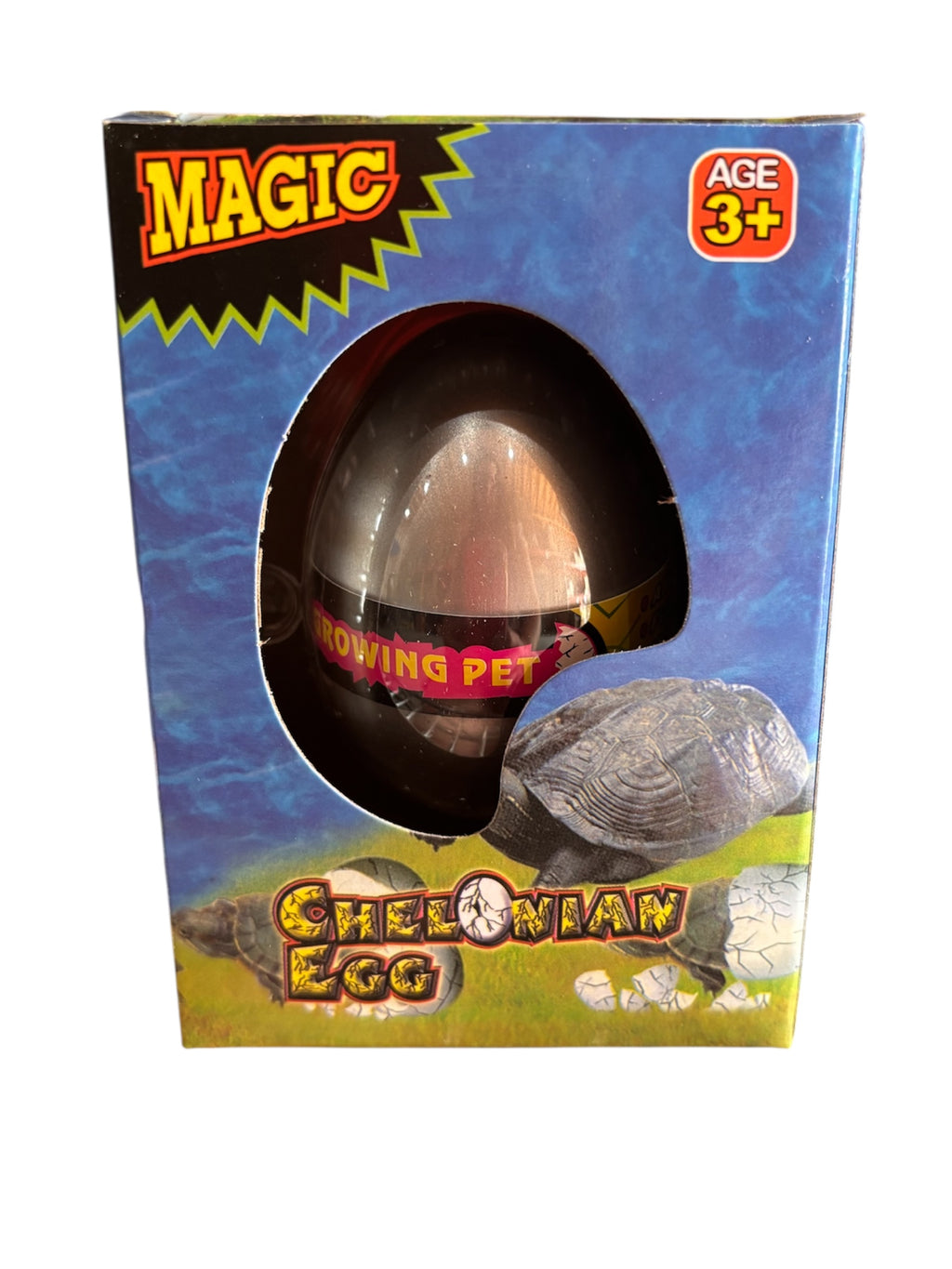 Turtle Grow Egg