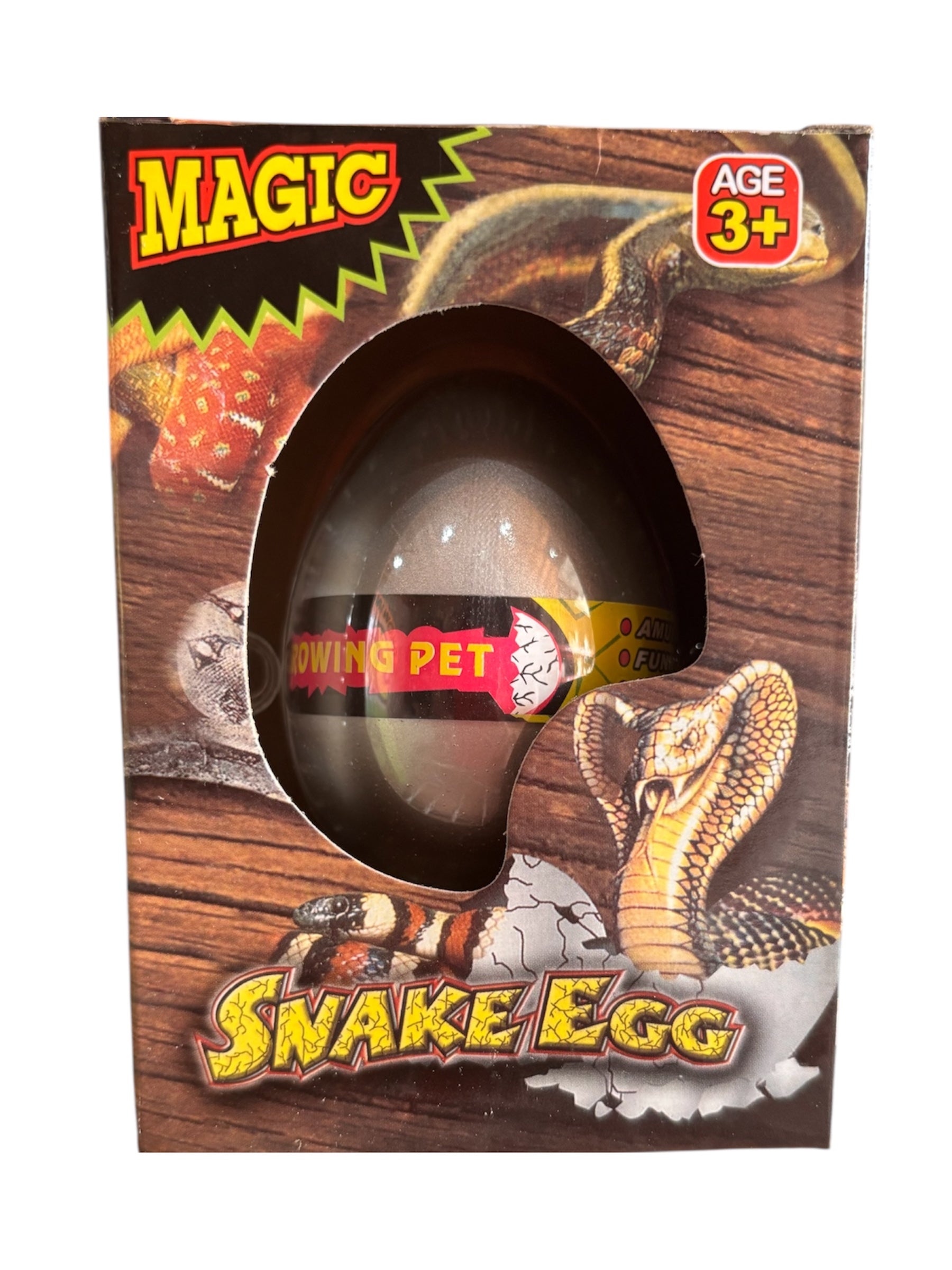 Snake Grow Egg