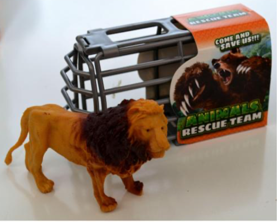 Animals Rescue Team Display